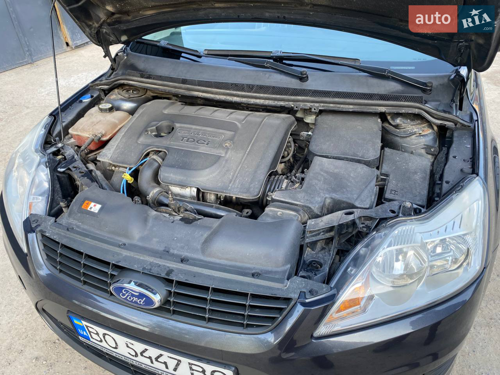 2010 Ford Focus - мініатюра 7