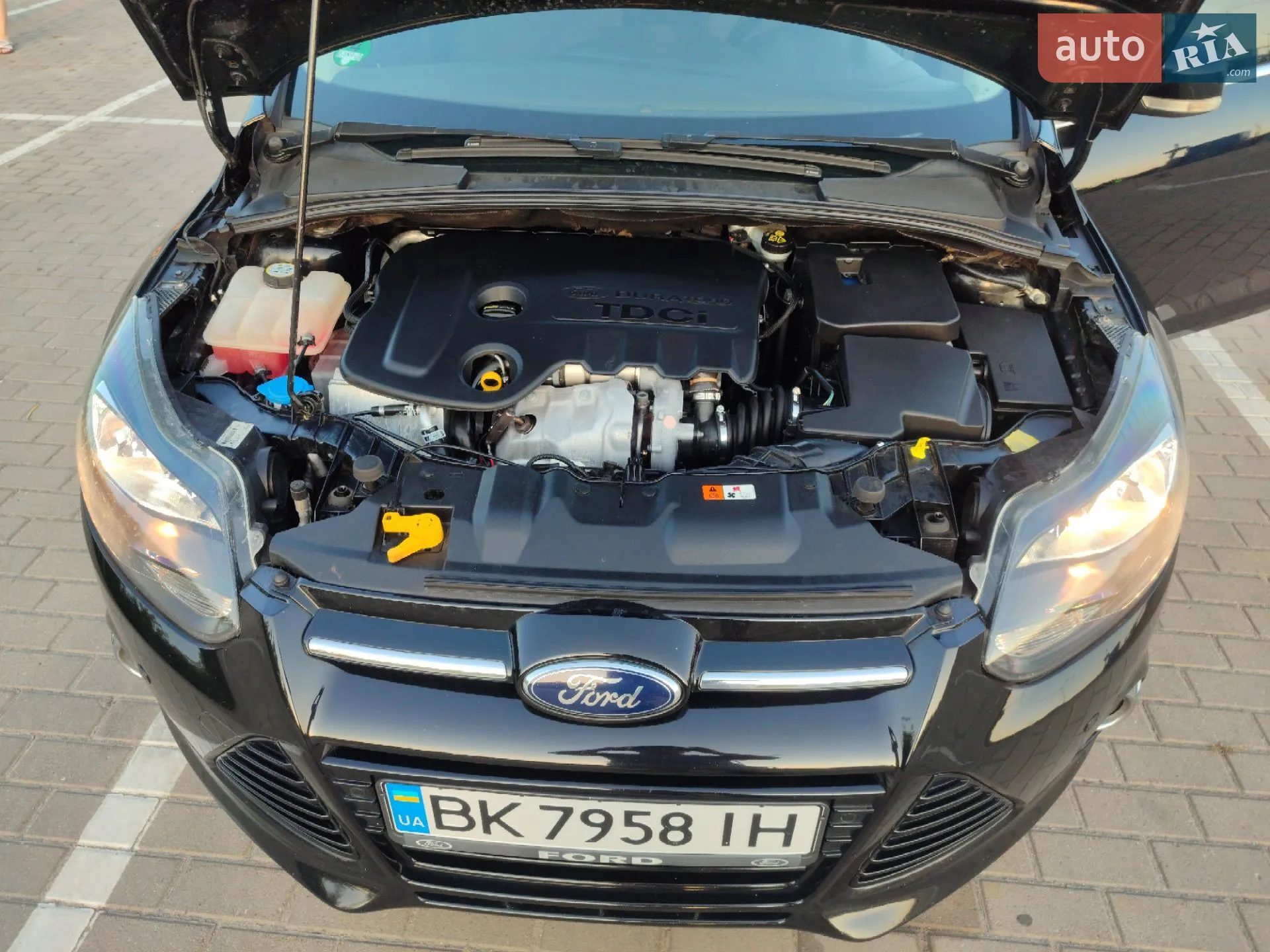 2013 Ford Focus - мініатюра 9