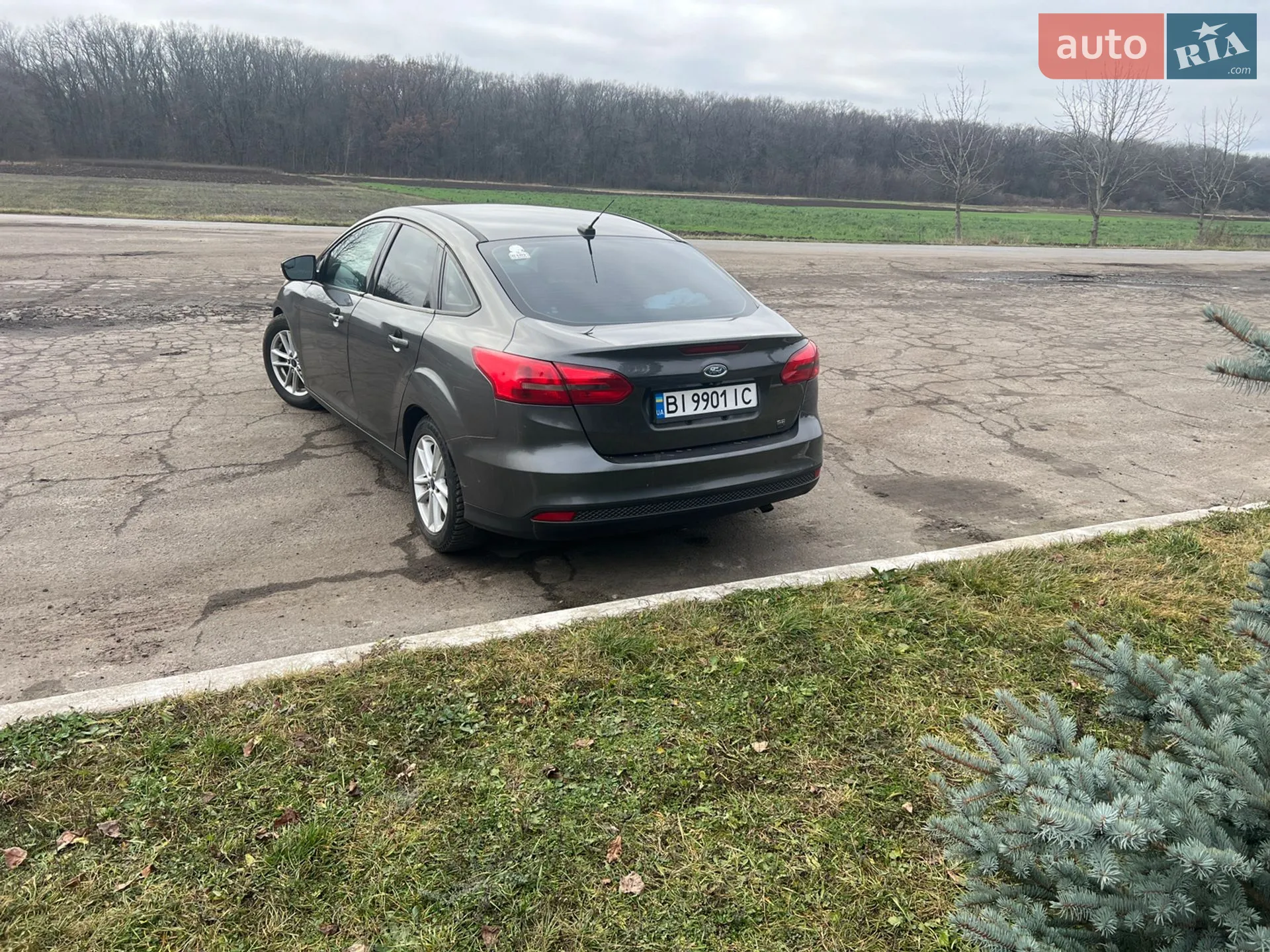 2015 Ford Focus - фото 1
