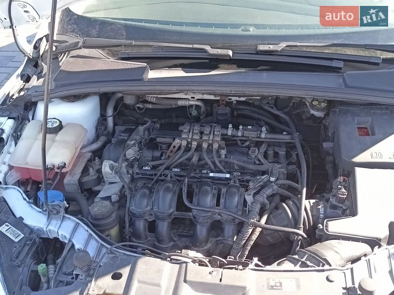 Хэтчбек Ford Focus 2017 в Василькове