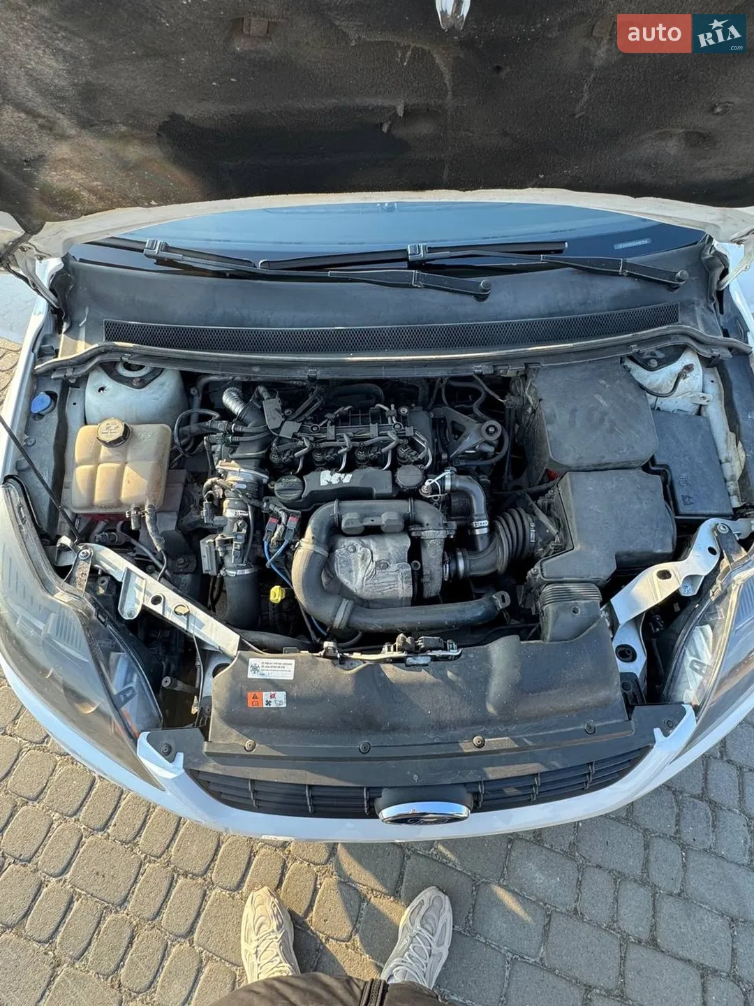 2010 Ford Focus - мініатюра 25
