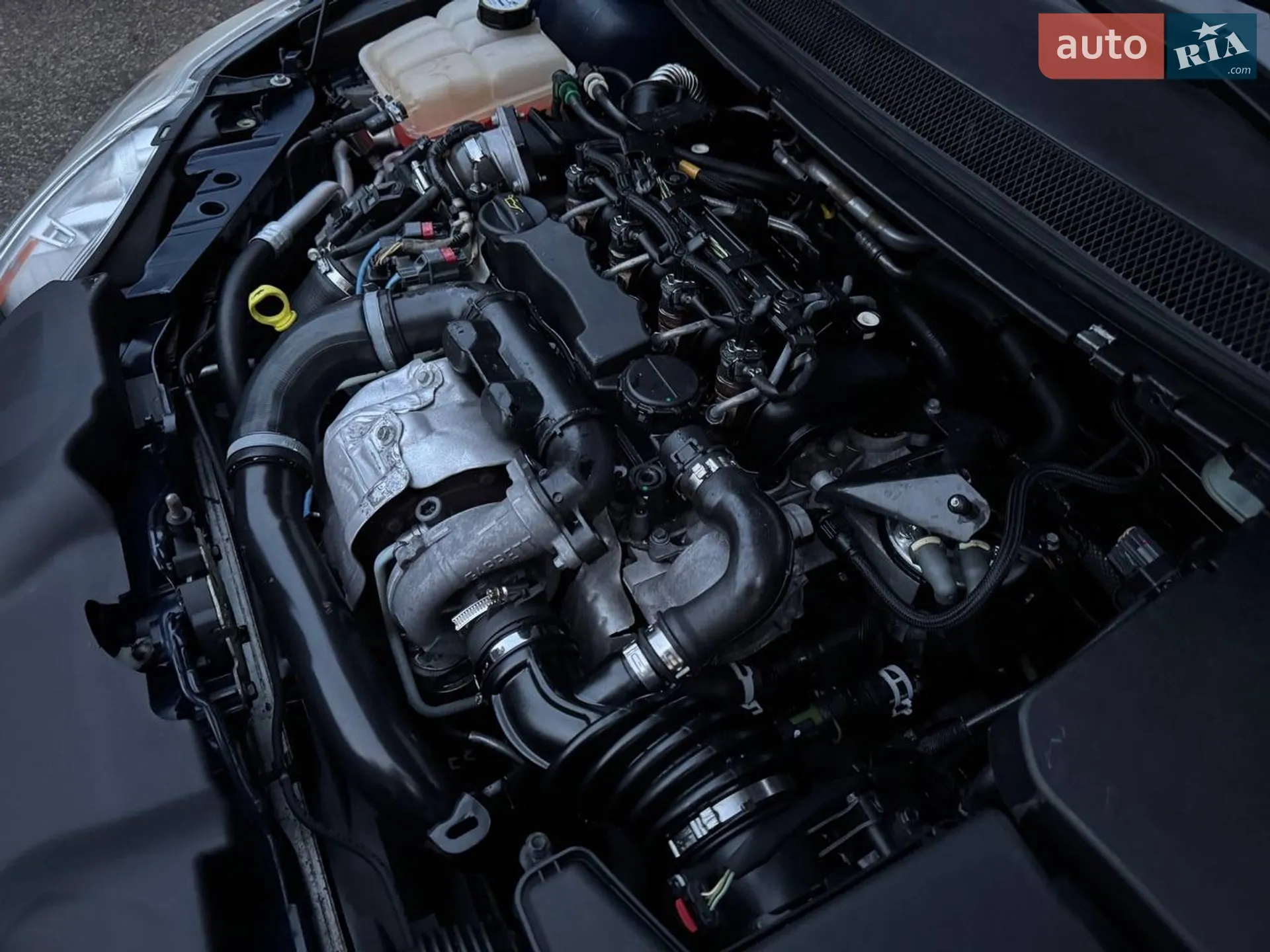 2010 Ford Focus - мініатюра 16