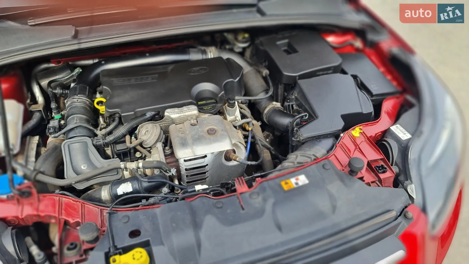 2013 Ford Focus - мініатюра 15