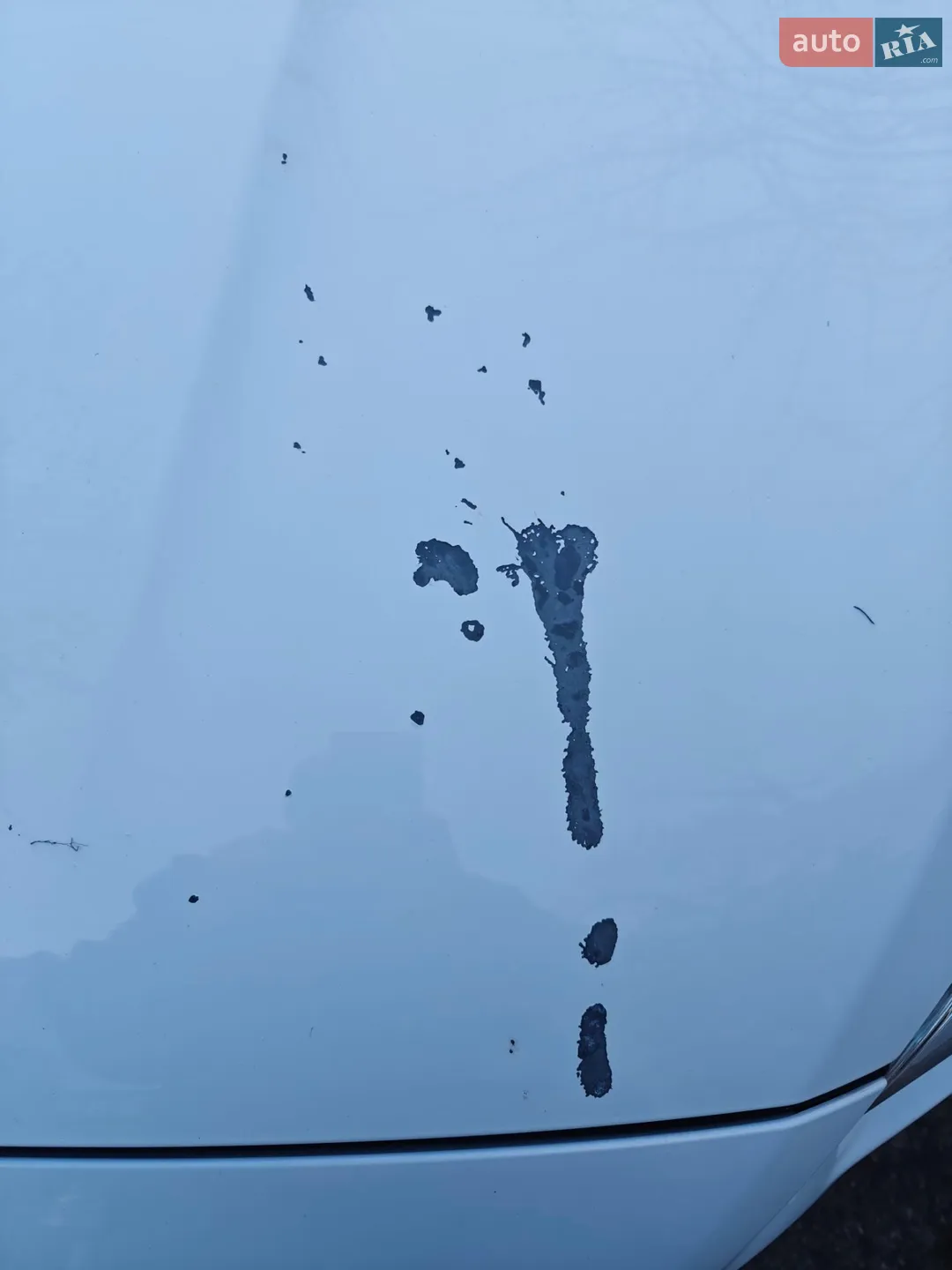 2016 Ford Focus - мініатюра 13