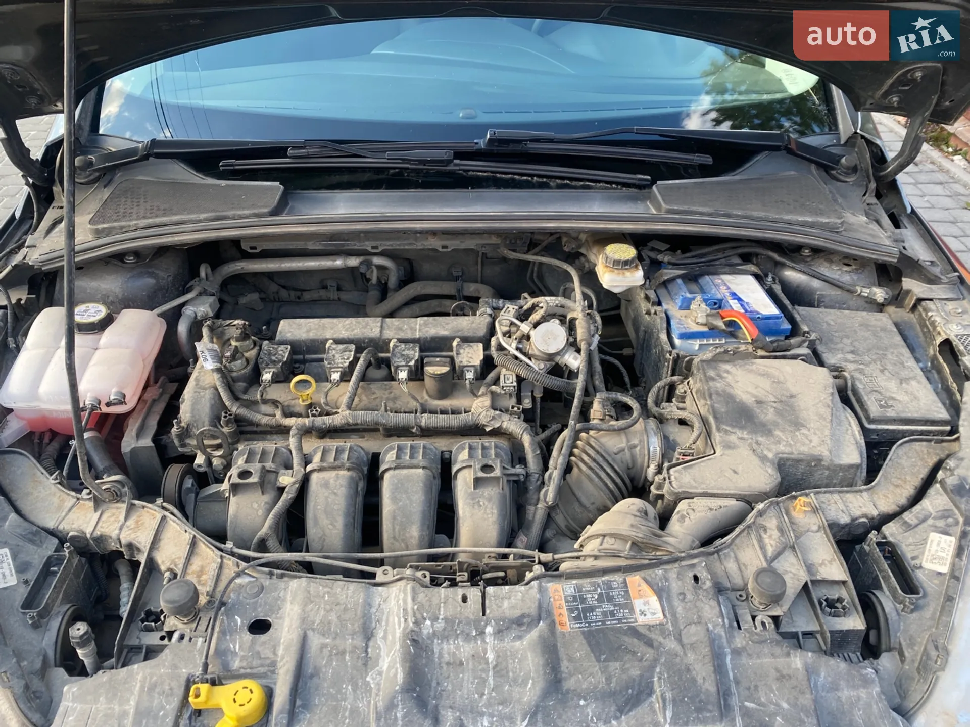 Ford Focus 2017 VIN 1FADP3K28JL206749 фото оголошення 13 з 13