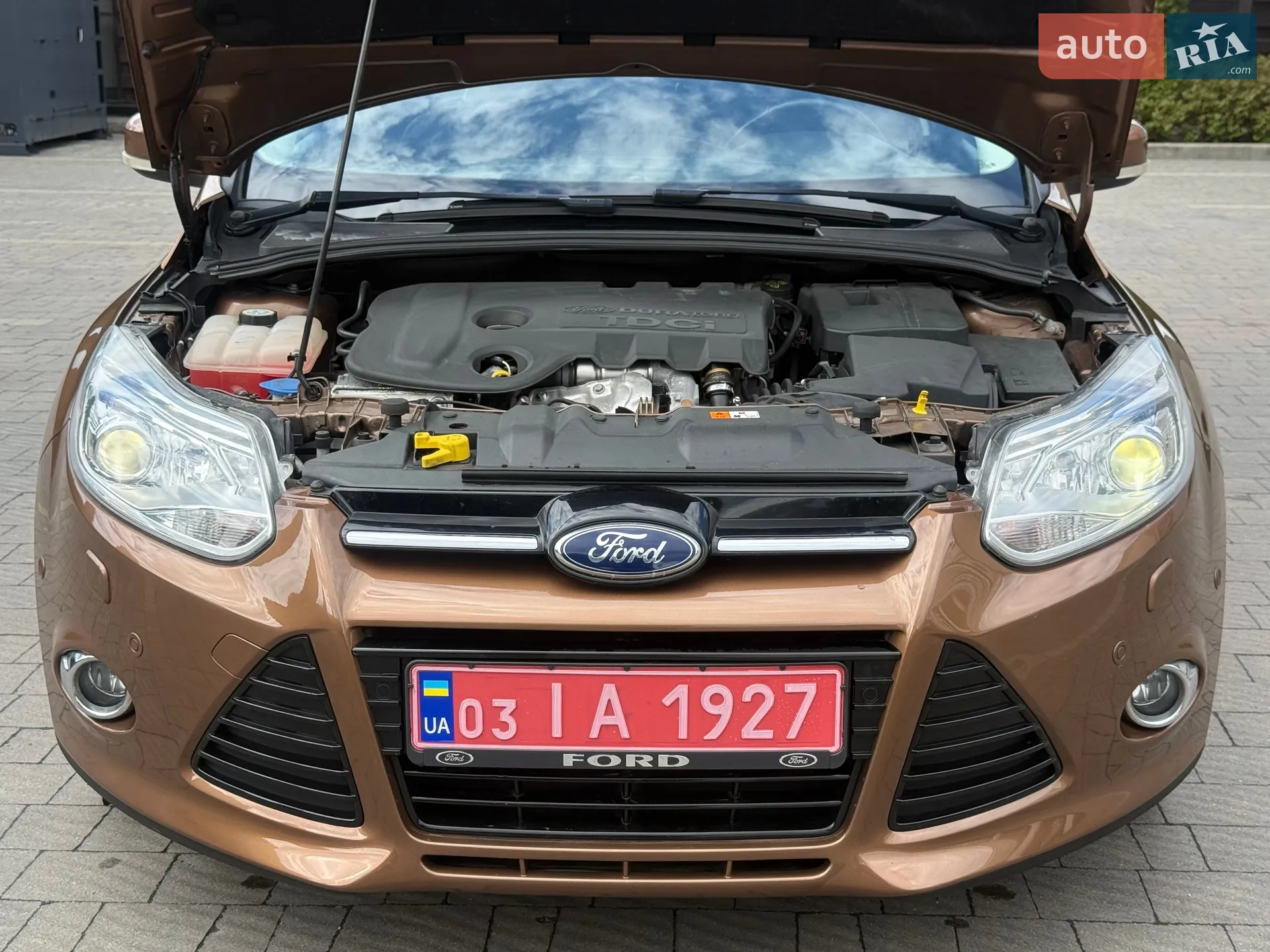 2013 Ford Focus - мініатюра 20