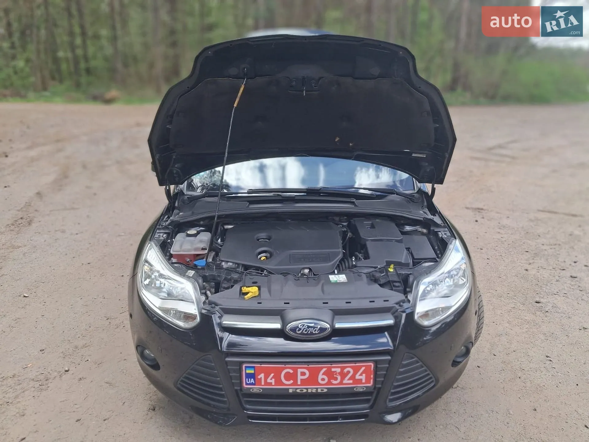 2014 Ford Focus - мініатюра 13
