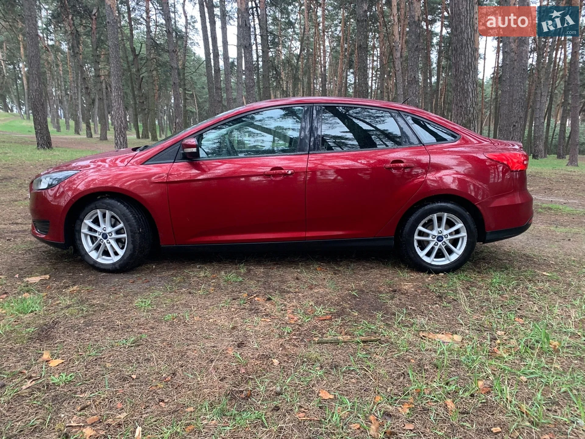 2015 Ford Focus - мініатюра 7