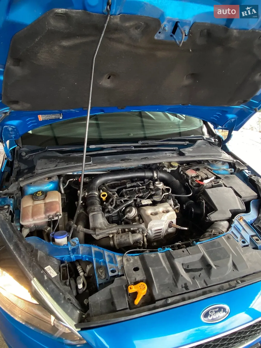 2016 Ford Focus - мініатюра 6
