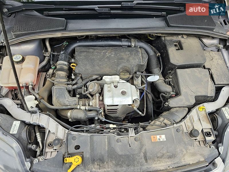 Хетчбек Ford Focus 2013 в Дрогобичі