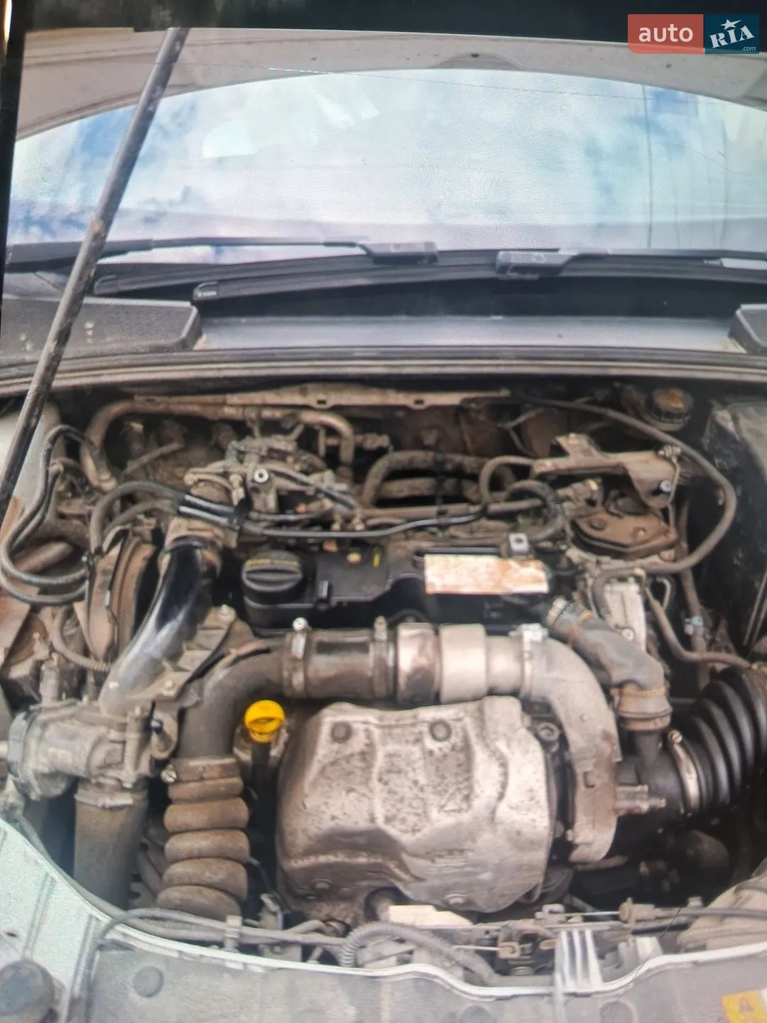 2012 Ford Focus - мініатюра 2