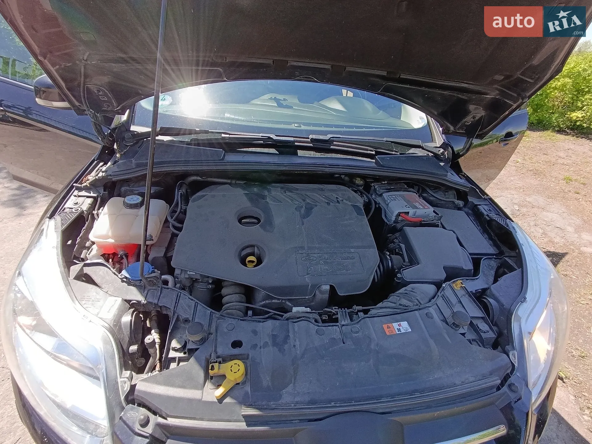 2012 Ford Focus - мініатюра 9