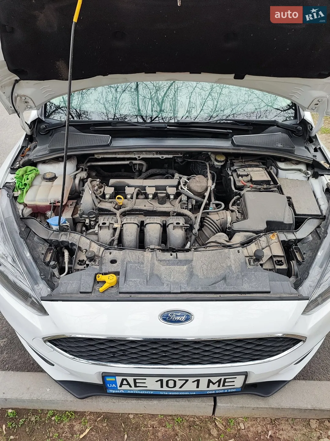 2016 Ford Focus - мініатюра 10