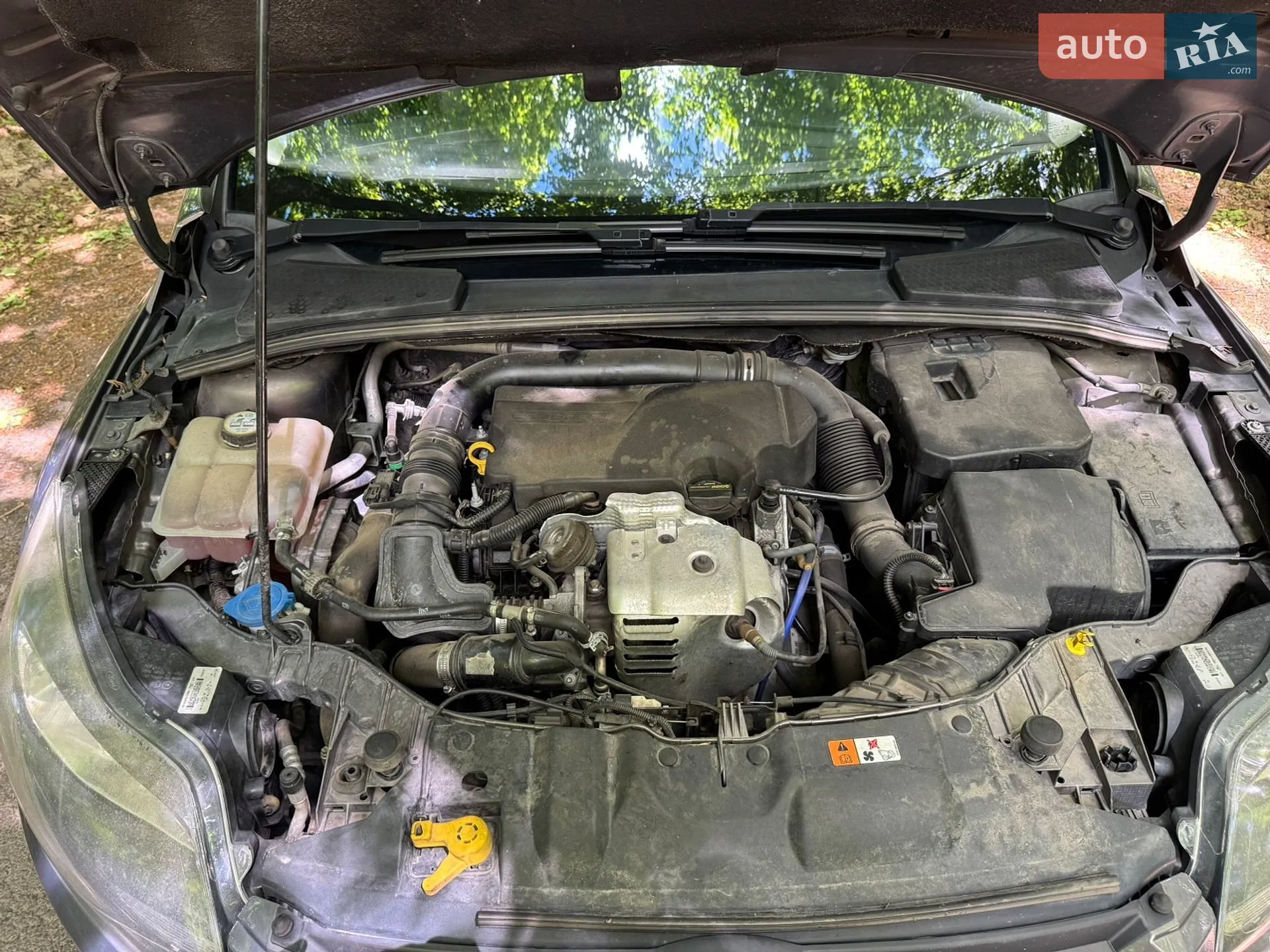 2013 Ford Focus - мініатюра 9