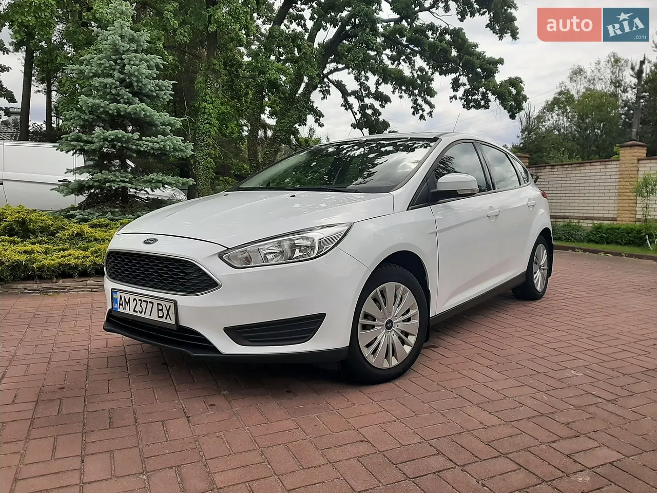 2014 Ford Focus - мініатюра 12