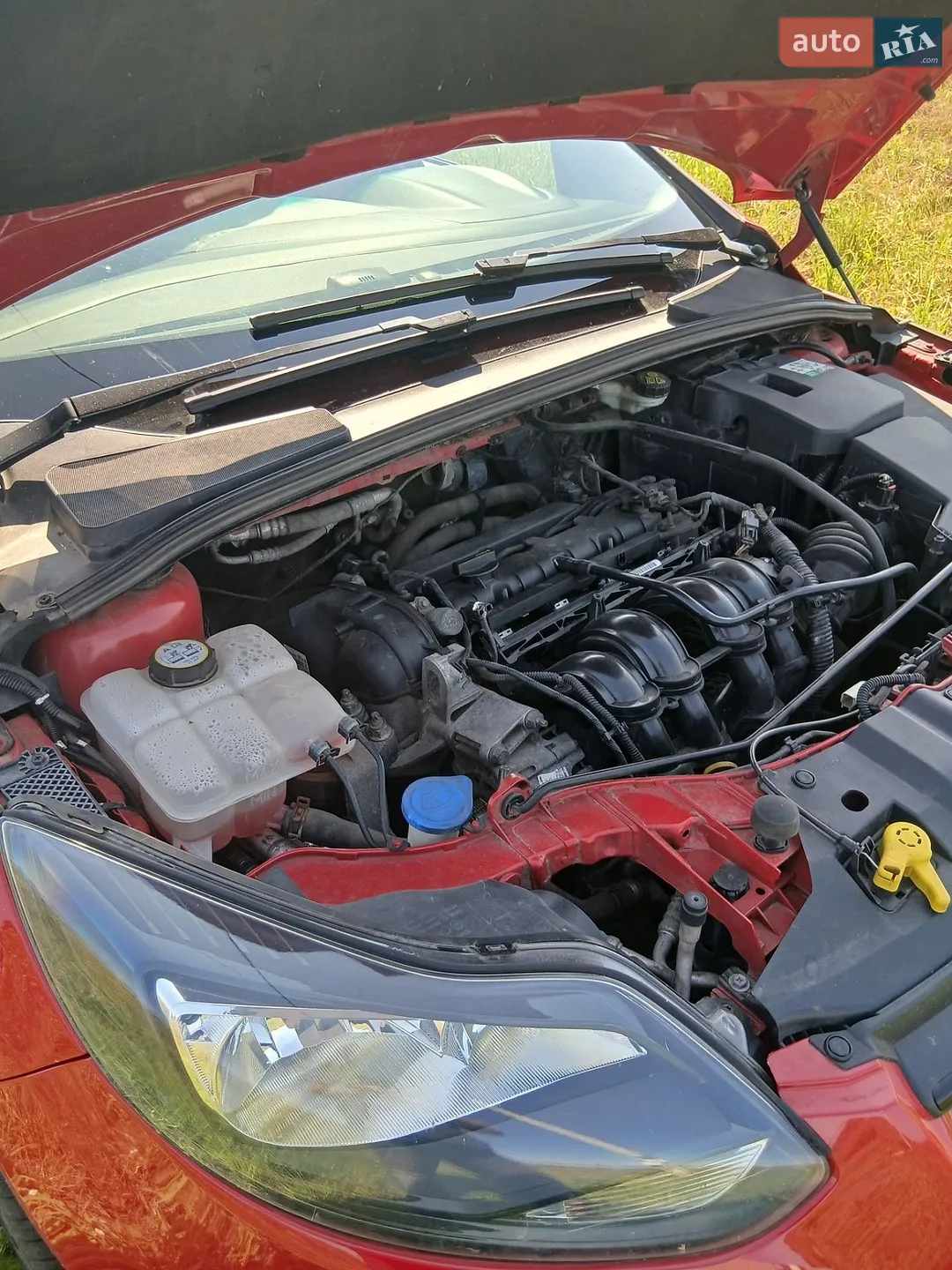 2012 Ford Focus - мініатюра 5