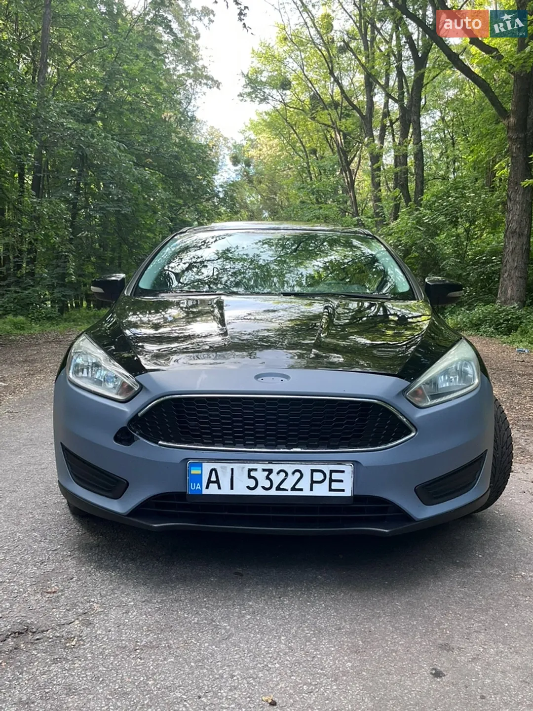2014 Ford Focus - мініатюра 2