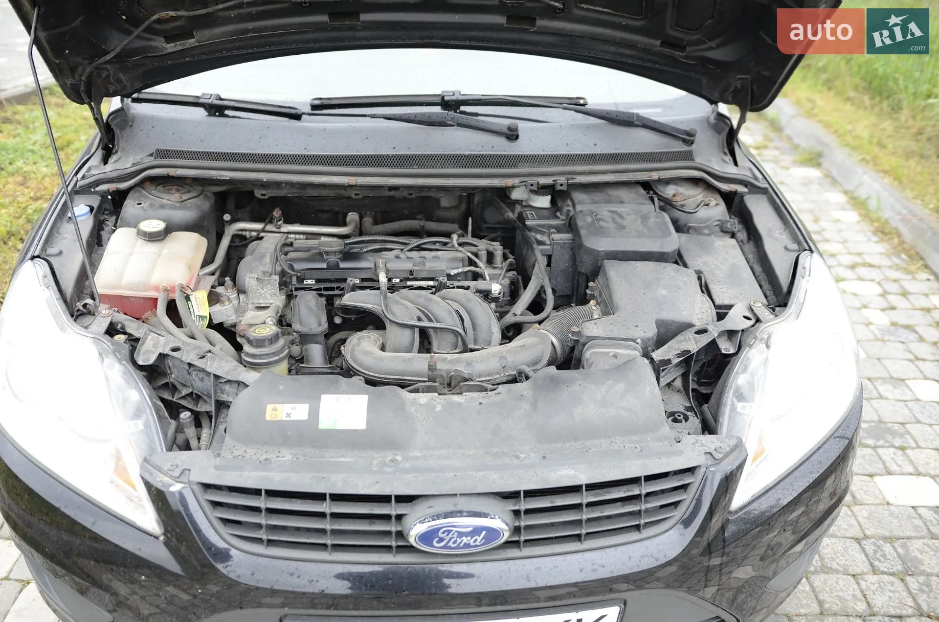 2010 Ford Focus - мініатюра 5
