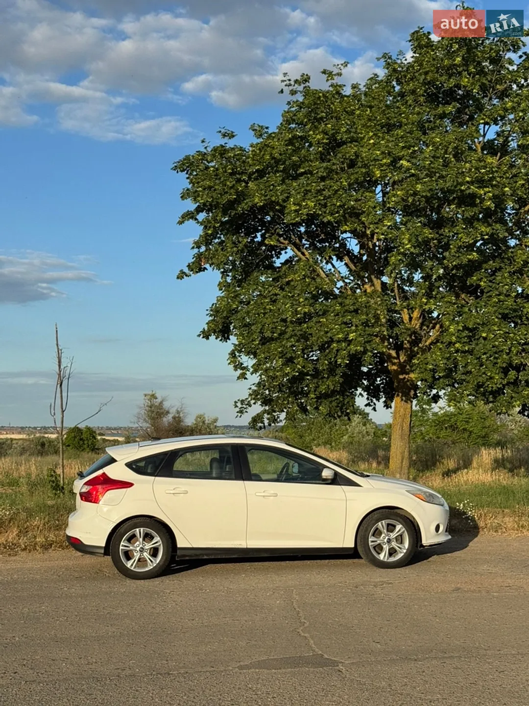 2014 Ford Focus - мініатюра 4