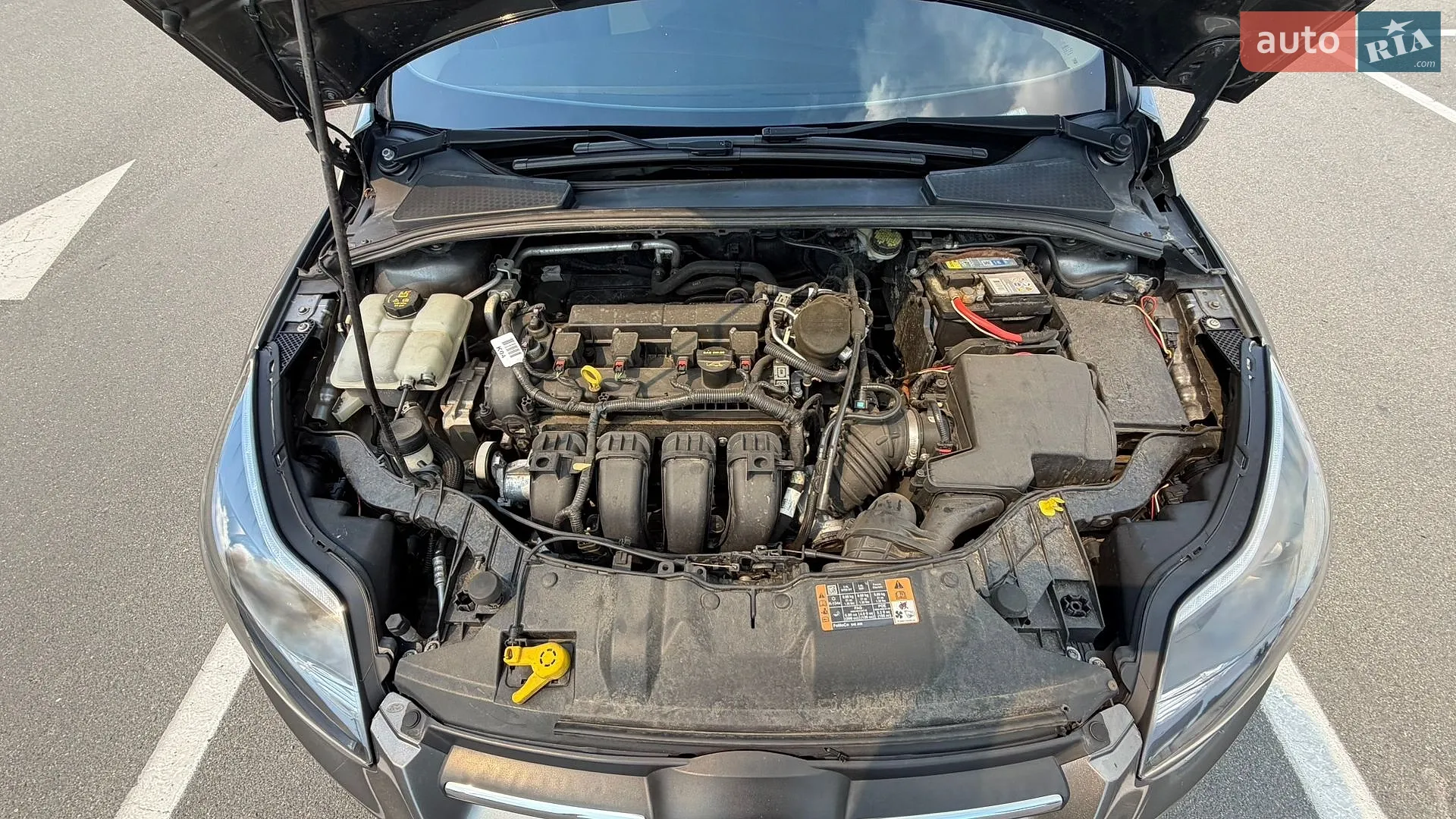 2014 Ford Focus - мініатюра 16