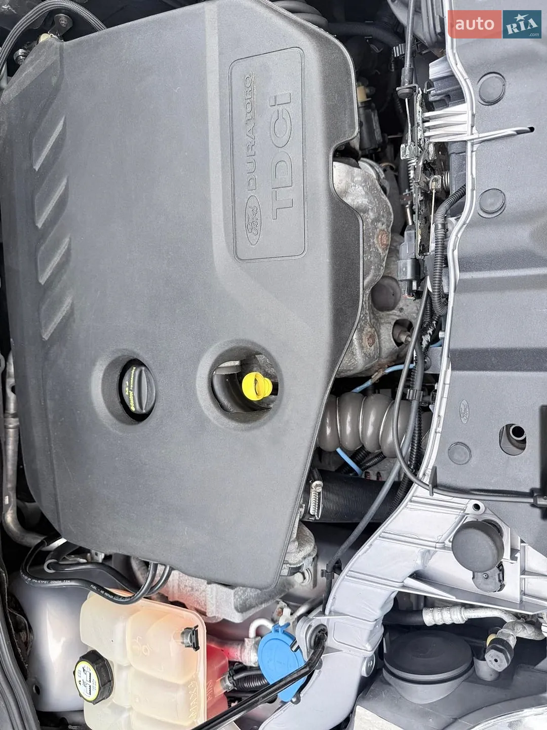2014 Ford Focus - мініатюра 26