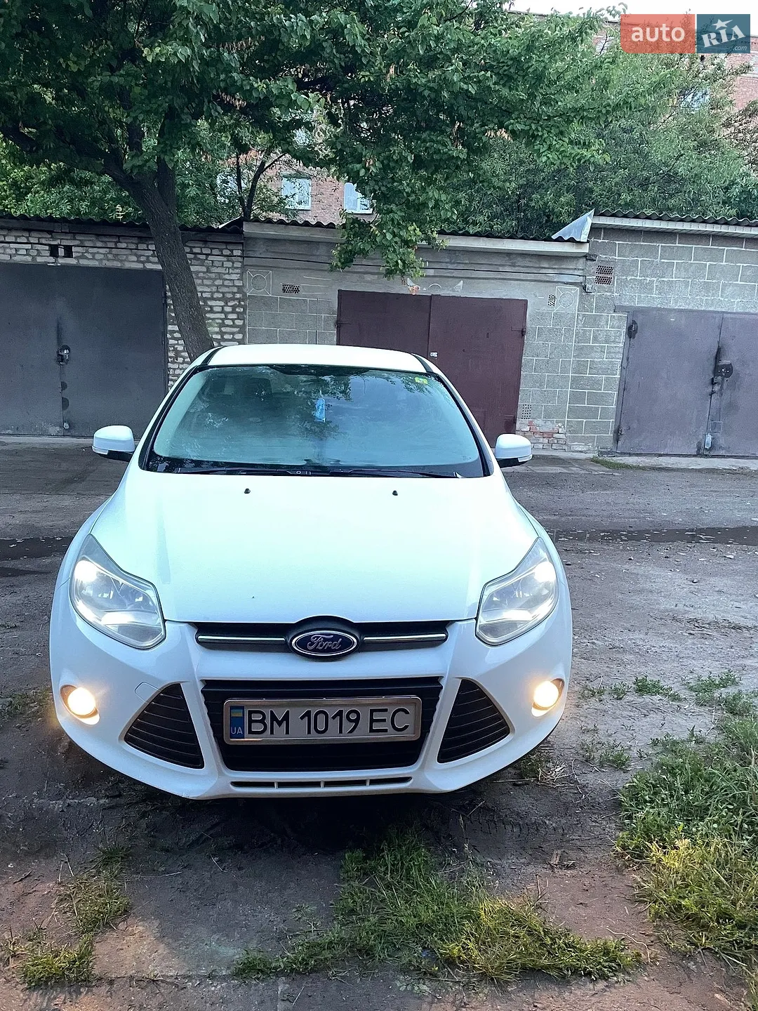 2014 Ford Focus - мініатюра 2