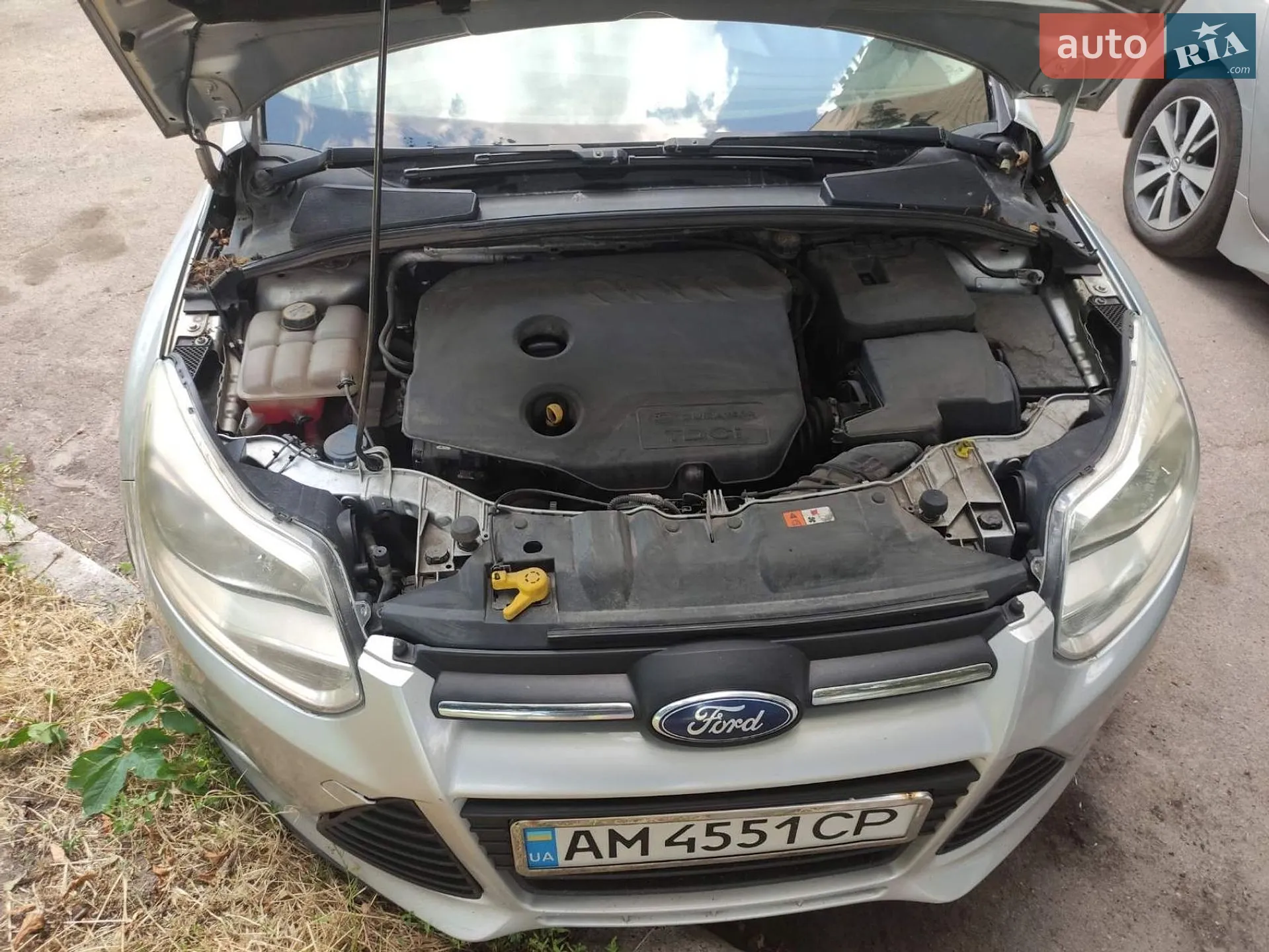 2014 Ford Focus - мініатюра 21
