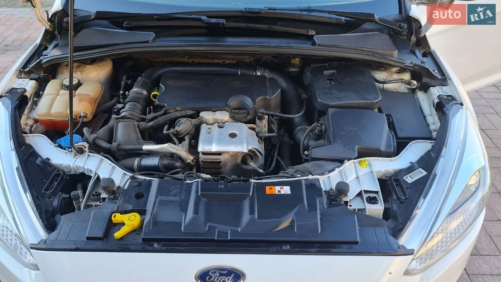 2015 Ford Focus - мініатюра 8