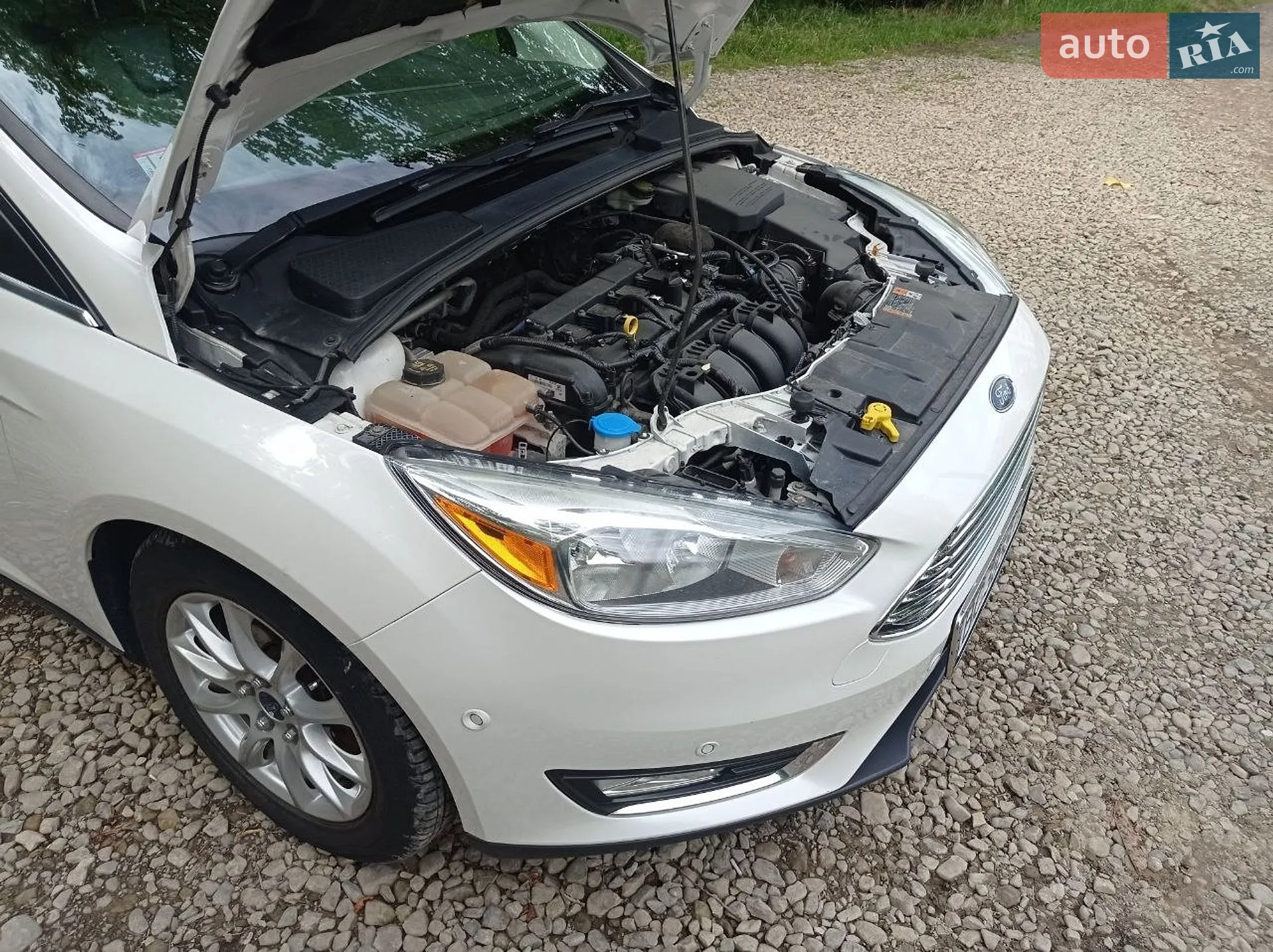 2015 Ford Focus - мініатюра 3