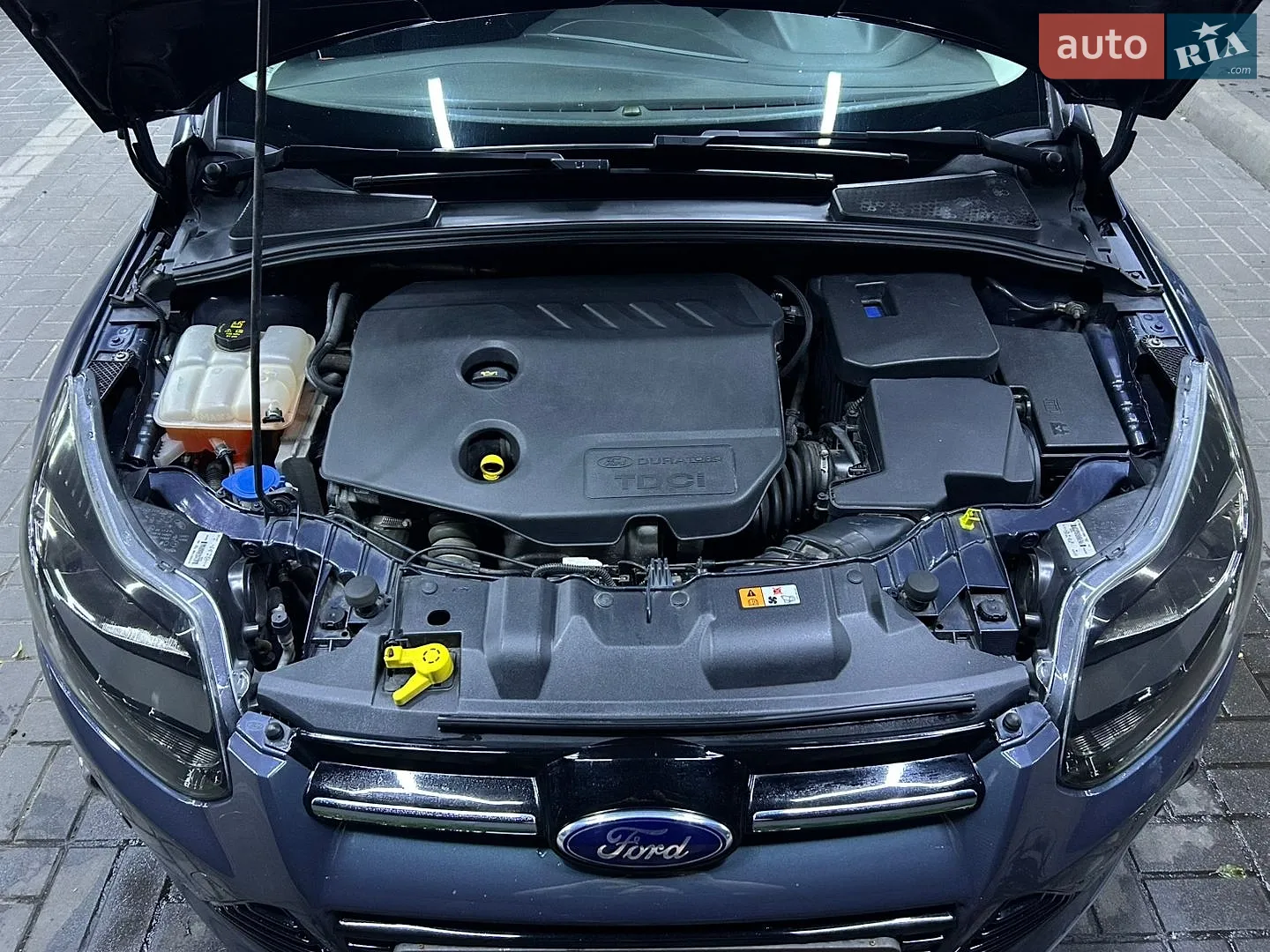 2013 Ford Focus - мініатюра 12