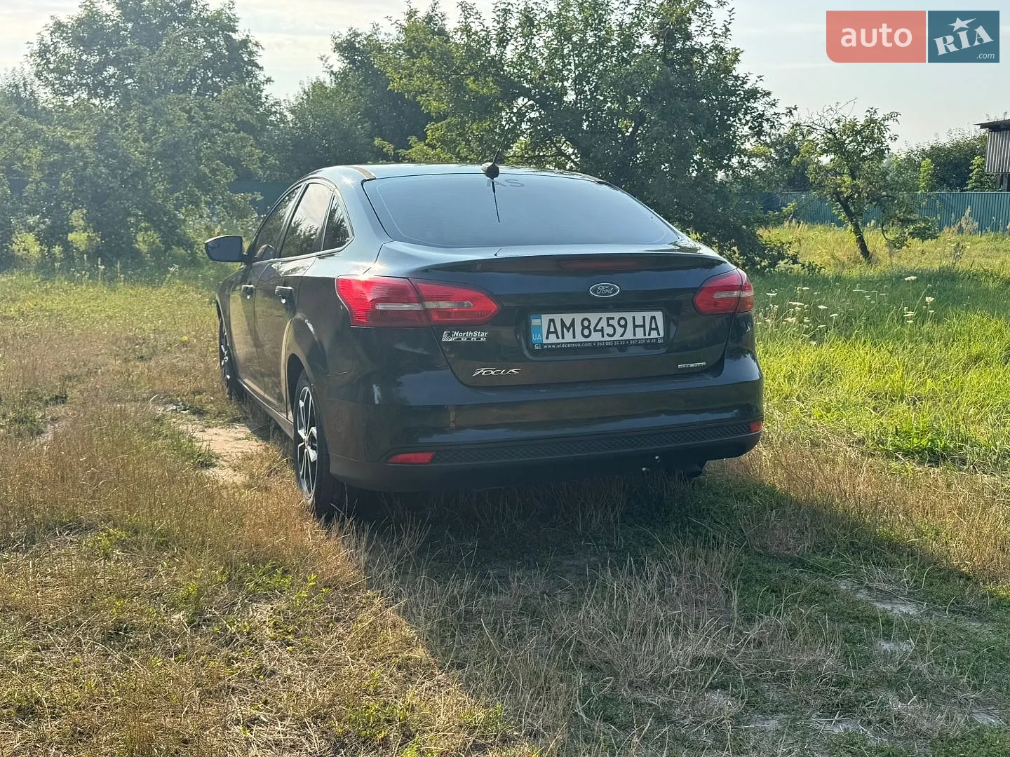 2015 Ford Focus - мініатюра 2