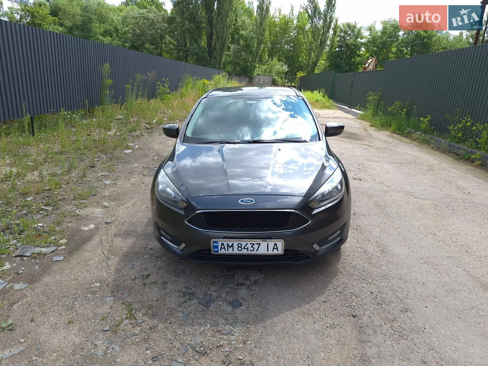 2016 Ford Focus - фото 1