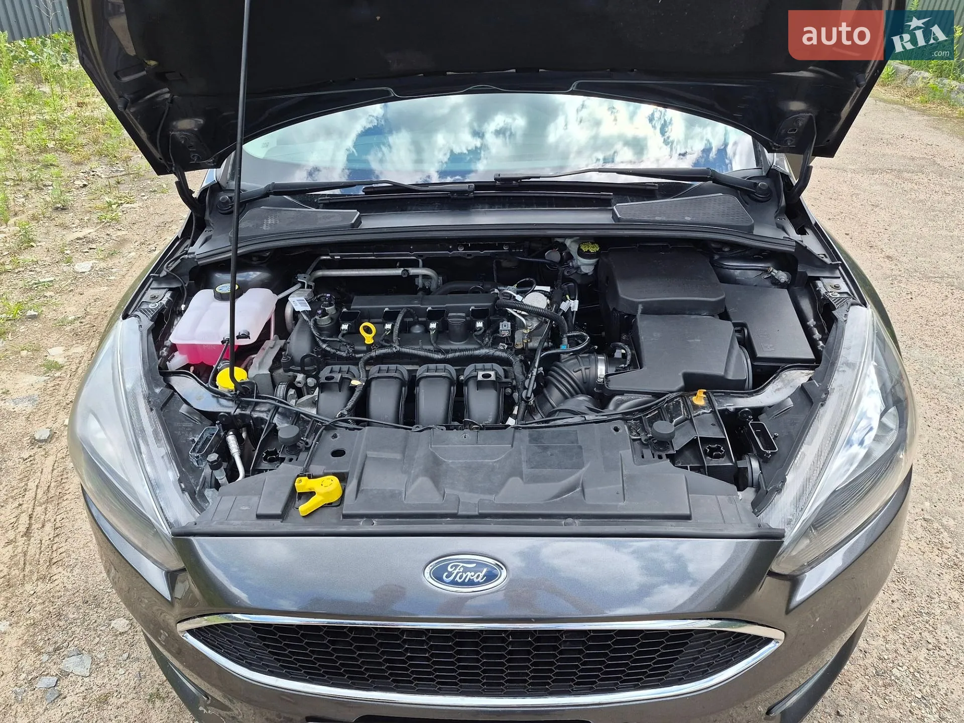 2016 Ford Focus - мініатюра 23
