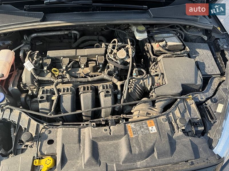 Седан Ford Focus 2016 в Богородчанах