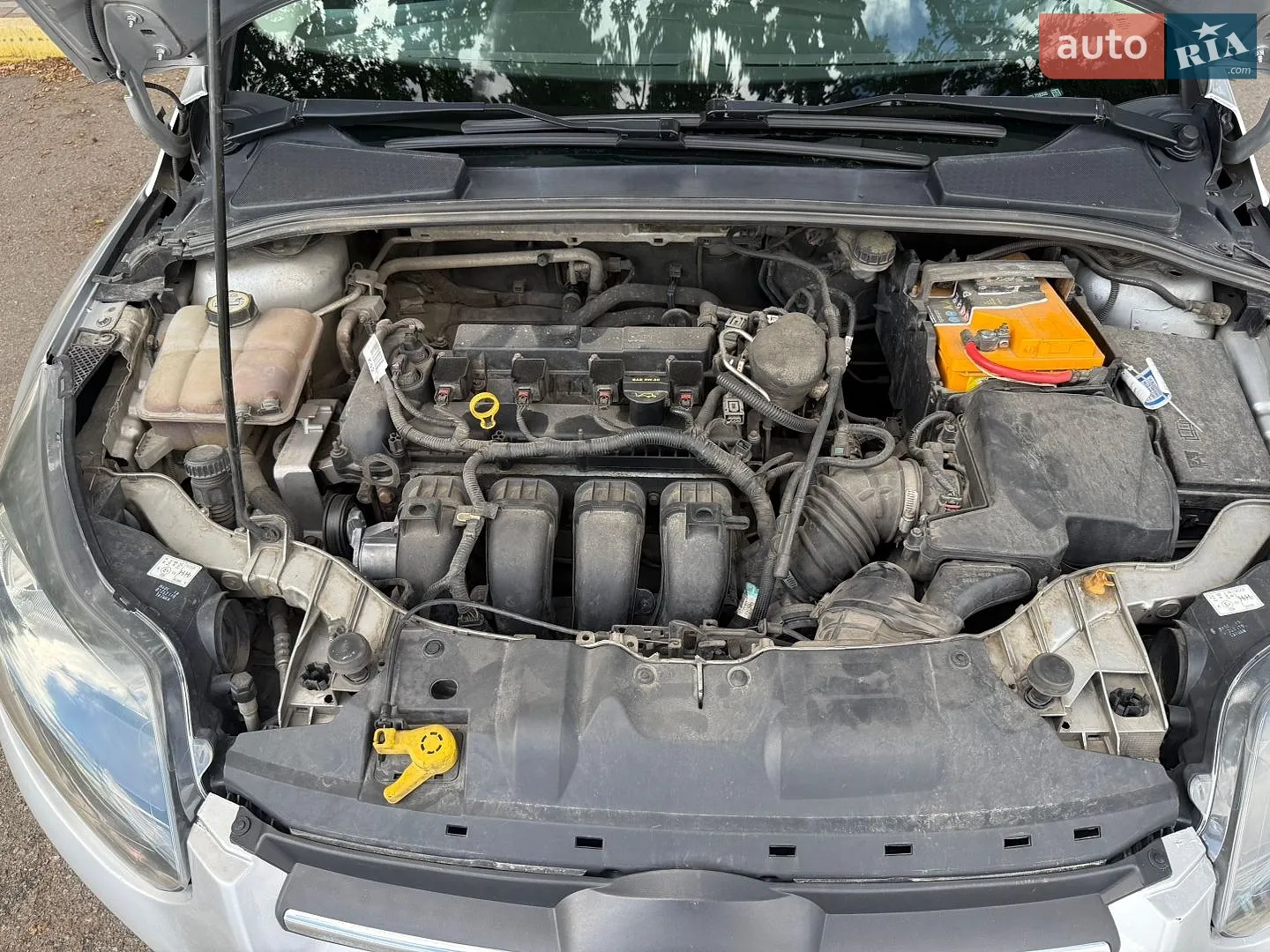 2013 Ford Focus - мініатюра 19
