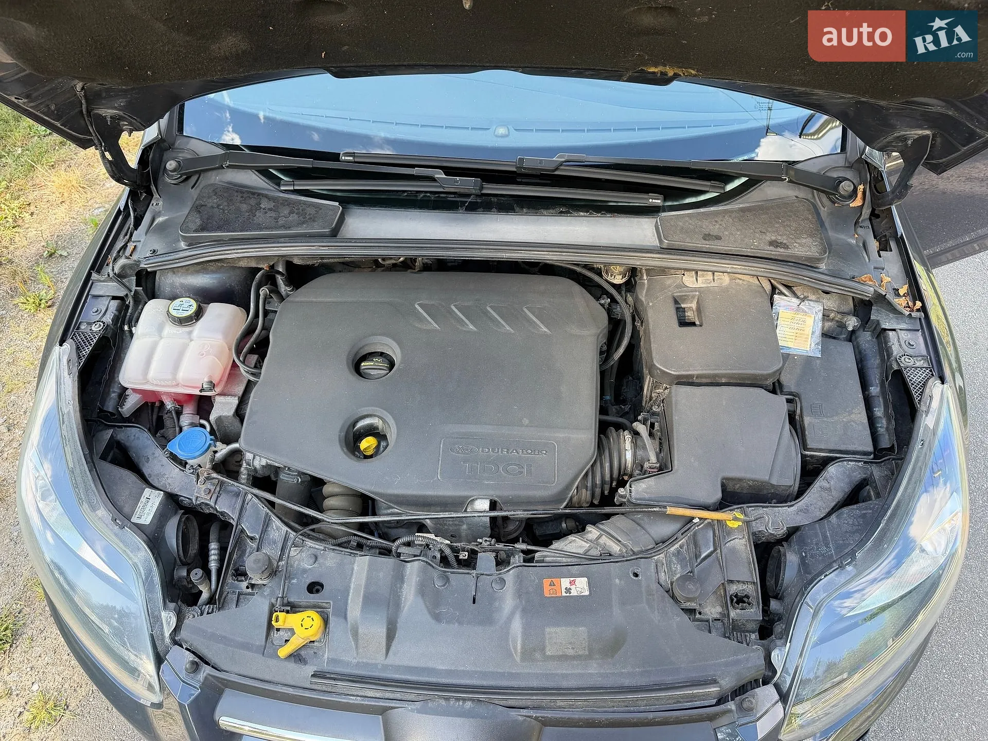 2012 Ford Focus - мініатюра 13