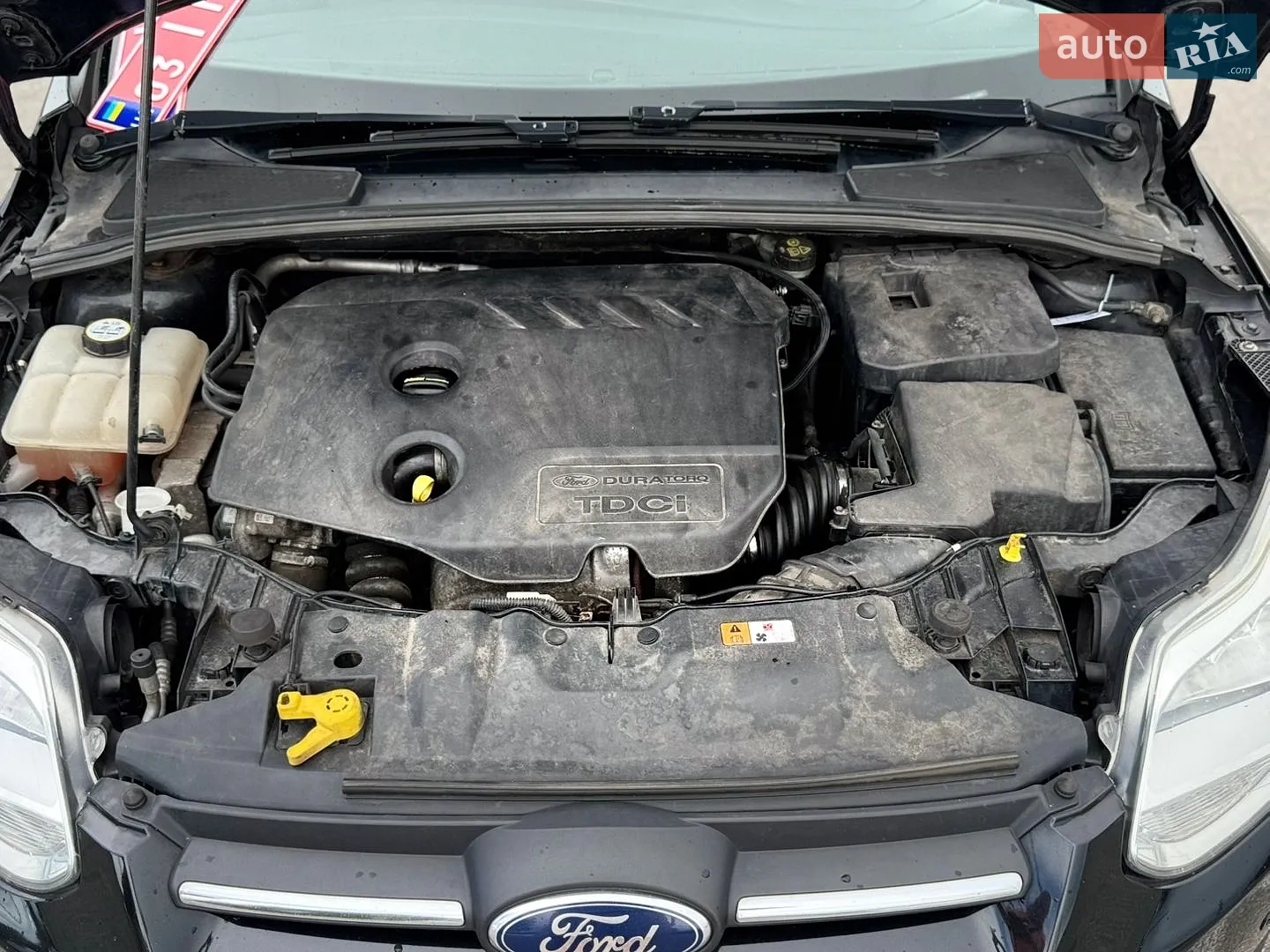2013 Ford Focus - мініатюра 10