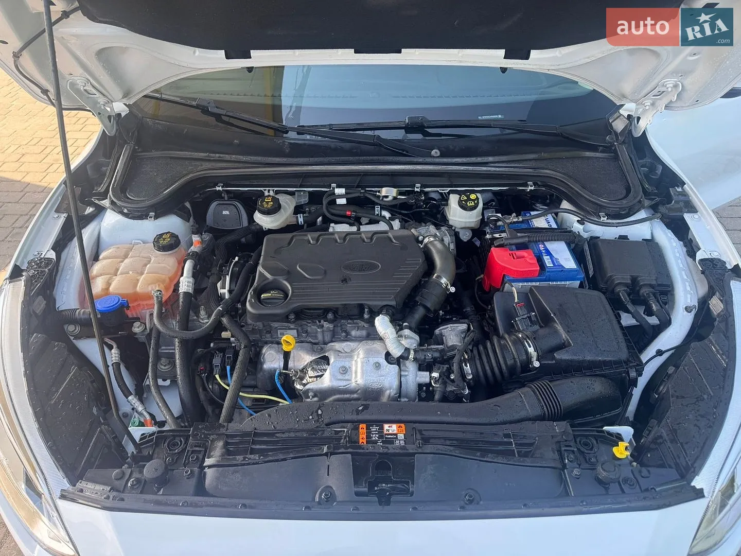2019 Ford Focus - мініатюра 18
