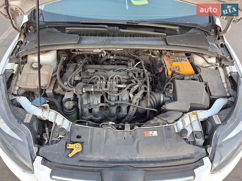Хэтчбек Ford Focus 2012 в Борисполе