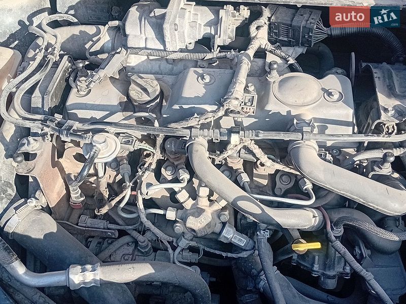Хэтчбек Ford Focus 2008 в Черновцах