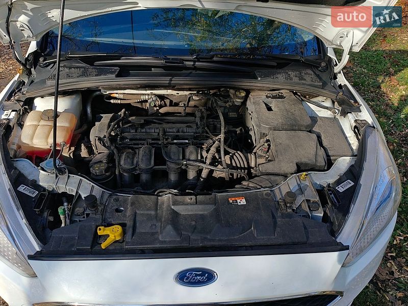 Хетчбек Ford Focus 2017 в Бабаї фото 13 Хетчбек Ford Focus 2017 в Бабаї