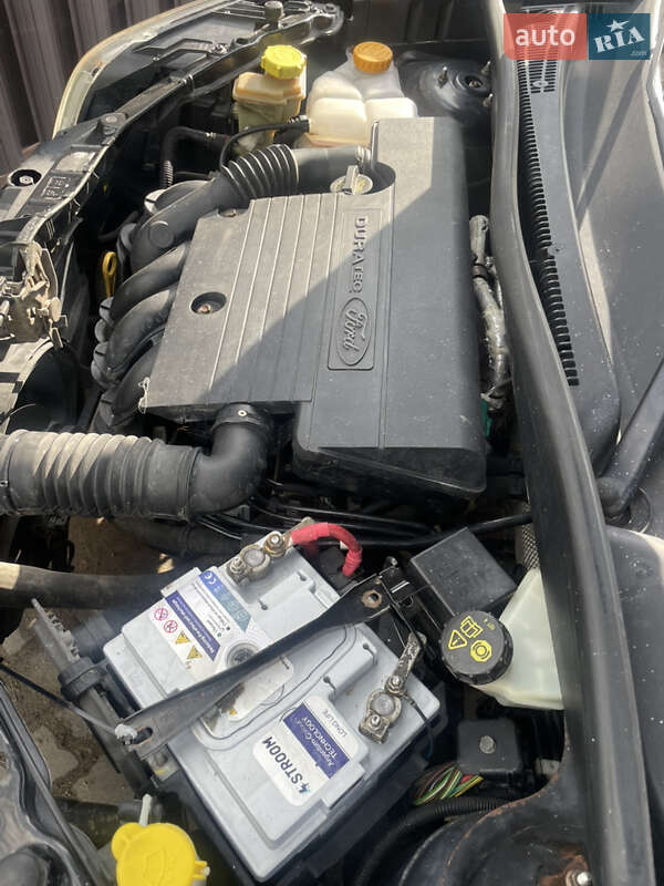 Хэтчбек Ford Fusion 2006 в Теофиполе