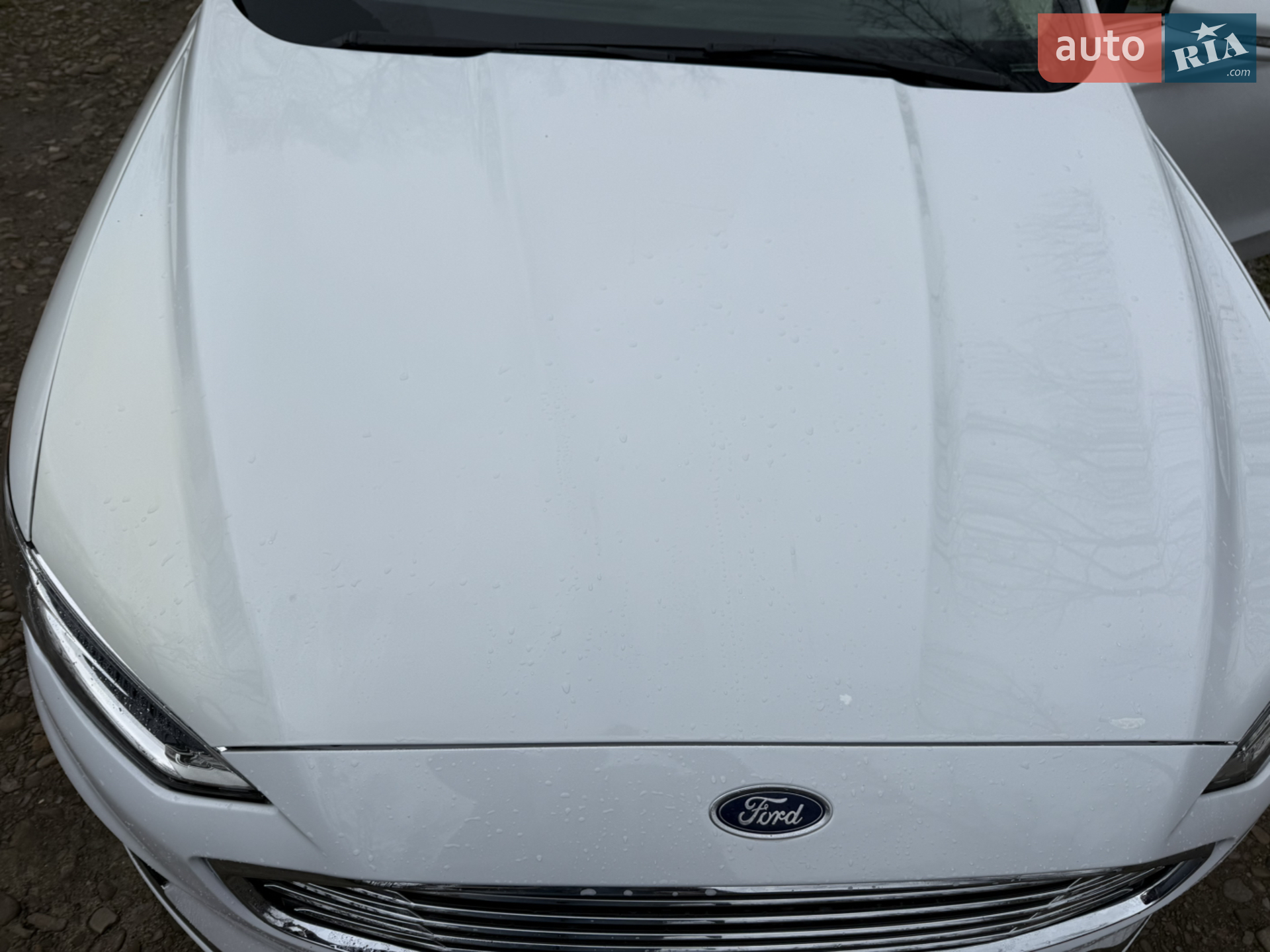 2019 Ford Fusion - мініатюра 13