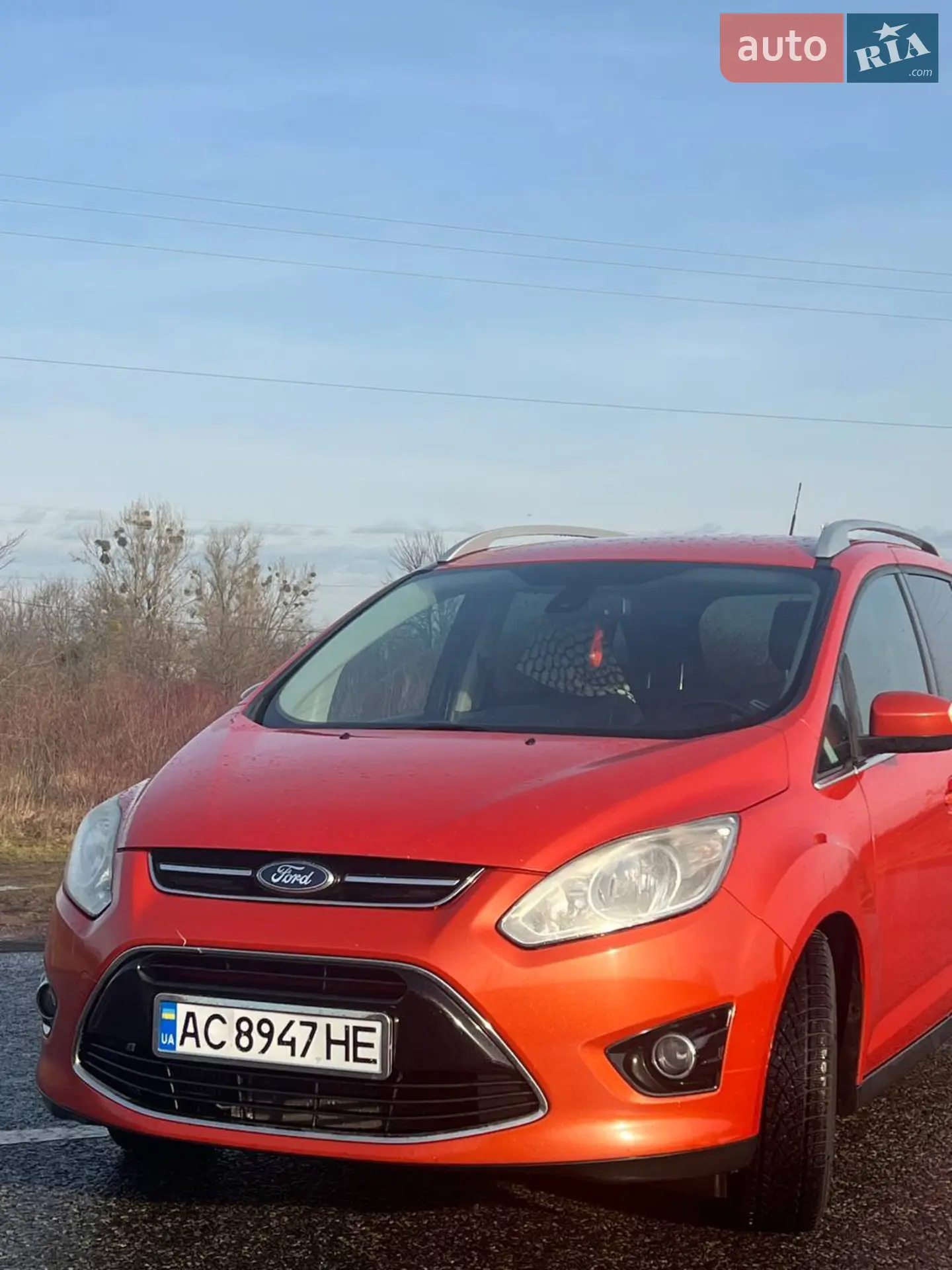 2010 Ford C-MAX - фото 1