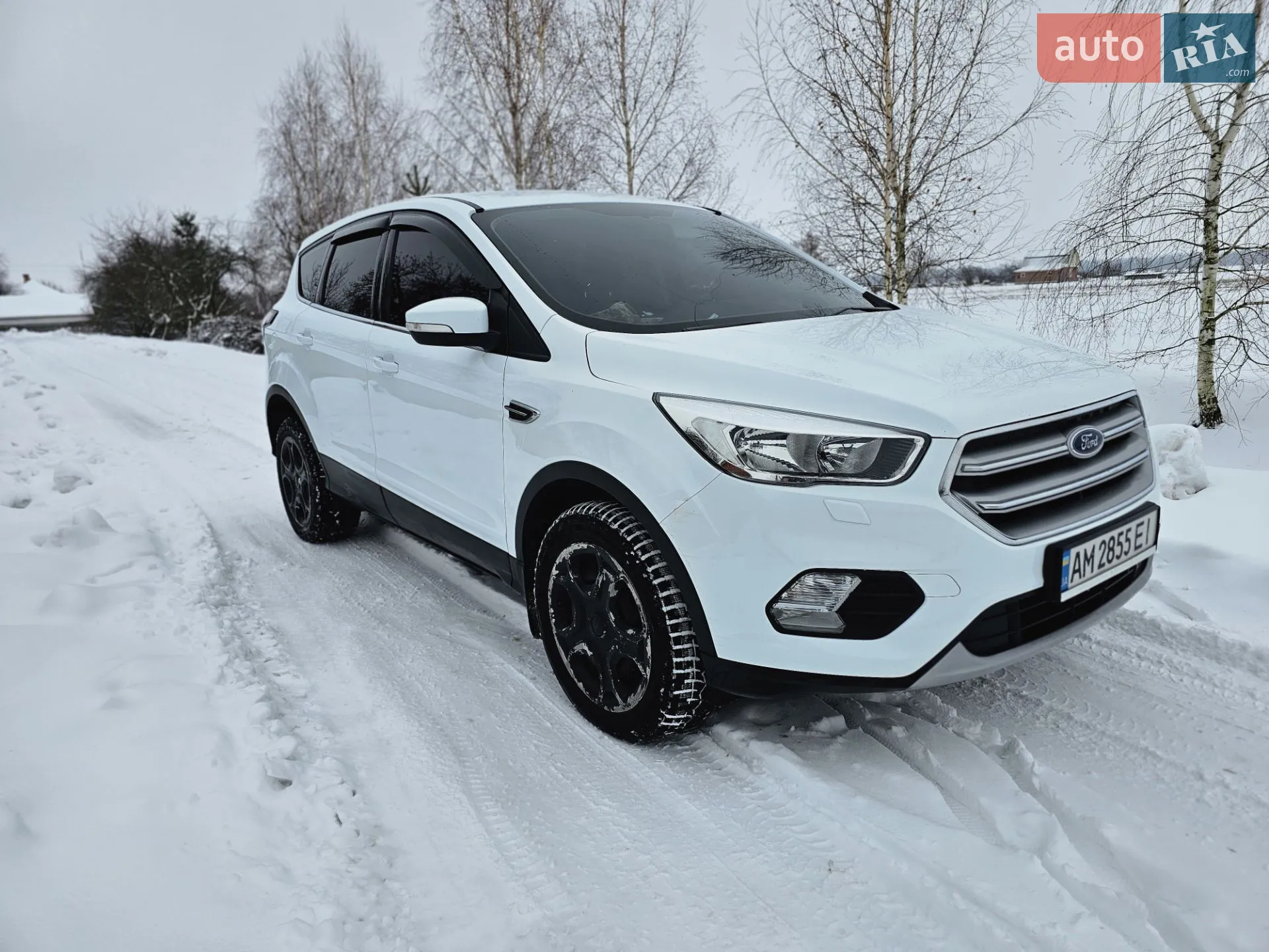 2019 Ford Kuga - мініатюра 3