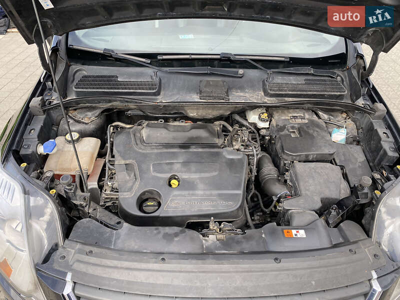 Внедорожник / Кроссовер Ford Kuga 2010 в Дрогобыче