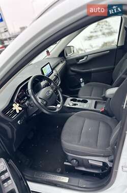 Позашляховик / Кросовер Ford Kuga 2020 в 