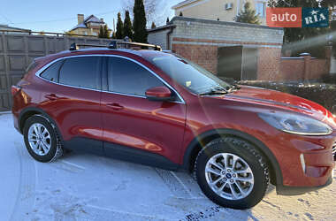 Внедорожник / Кроссовер Ford Kuga 2020 в Харькове