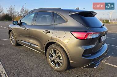 Внедорожник / Кроссовер Ford Kuga 2023 в 