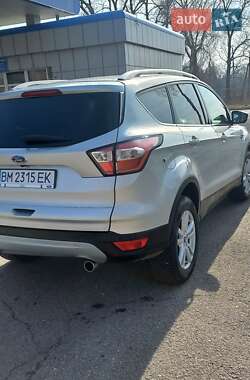 Внедорожник / Кроссовер Ford Kuga 2019 в 